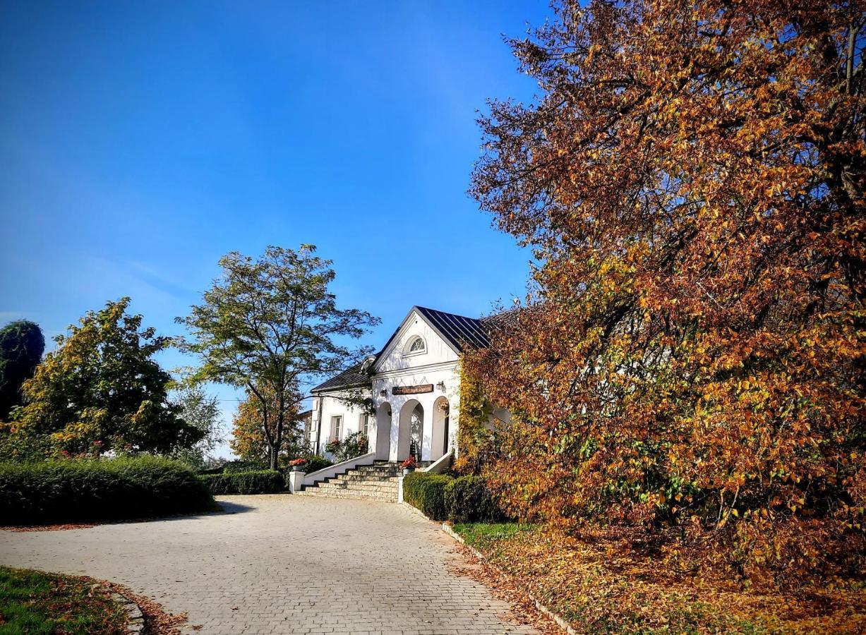 Dwor Na Wichrowym Wzgorzu Bed and Breakfast Przybysławice Esterno foto