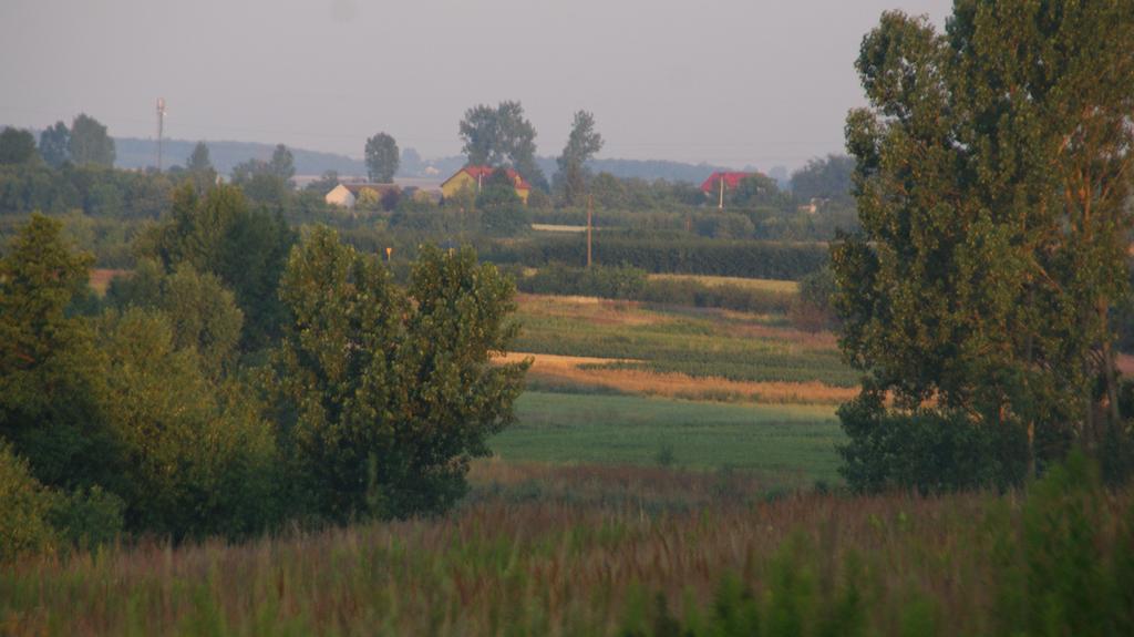 Dwor Na Wichrowym Wzgorzu Bed and Breakfast Przybysławice Esterno foto