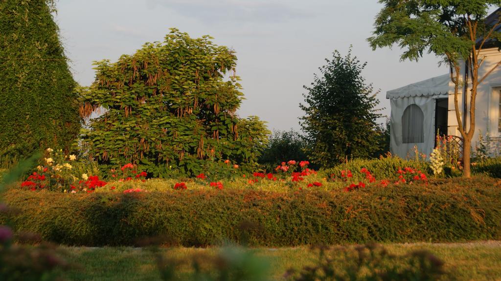 Dwor Na Wichrowym Wzgorzu Bed and Breakfast Przybysławice Esterno foto