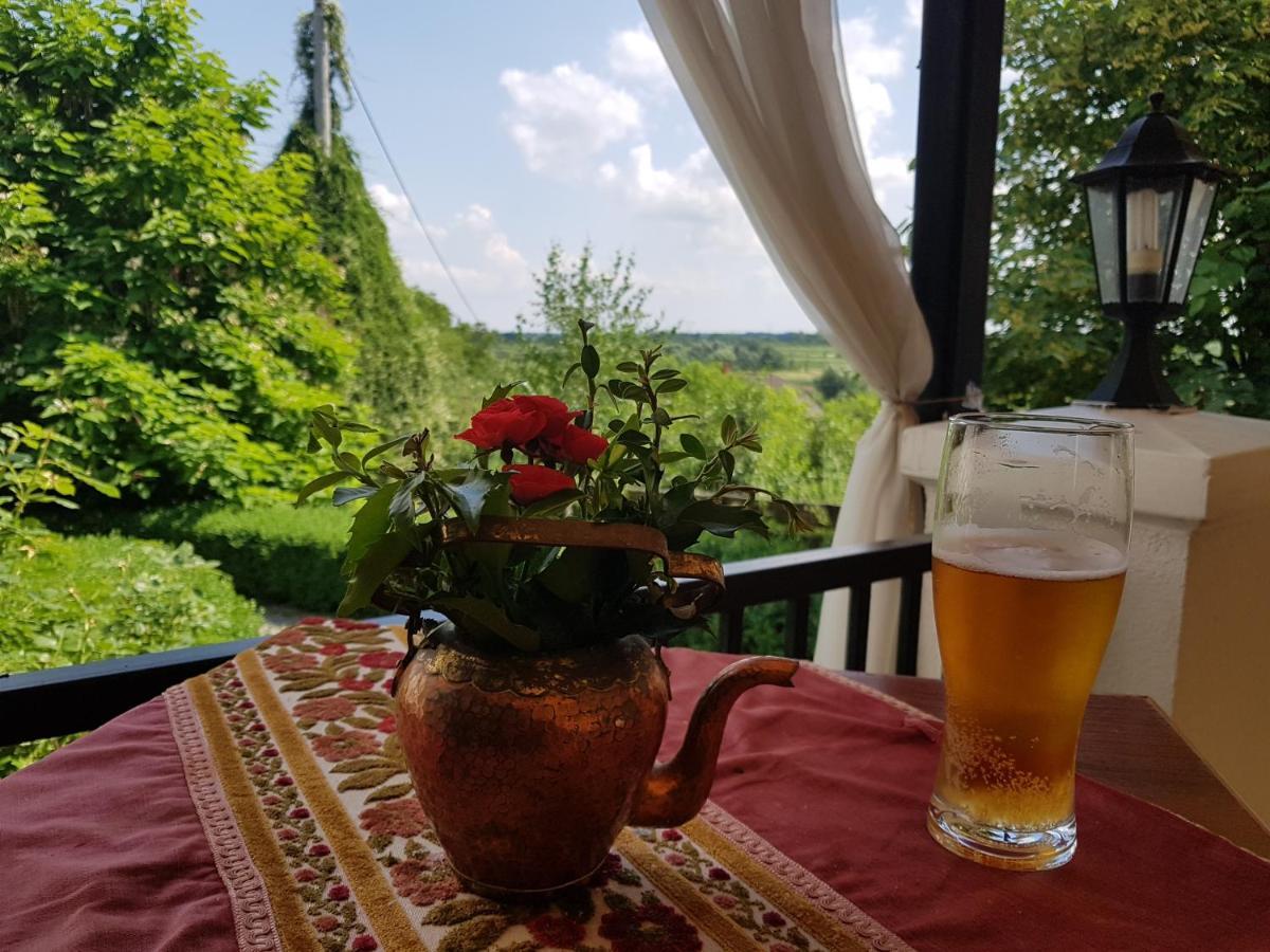 Dwor Na Wichrowym Wzgorzu Bed and Breakfast Przybysławice Esterno foto